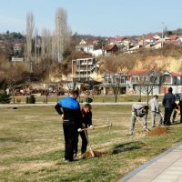 Денот на пролетта и екологијата во Македонска Каменица се одбележа со засадување на декоративни садници и еко-акции