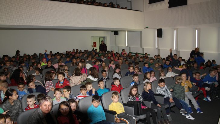 Богат репертоар на филмови за деца и младиници во Домот на култура во Македонска Каменица