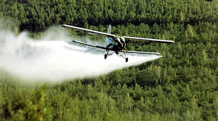Второ авионско прскање против комарци во Македонска Каменица